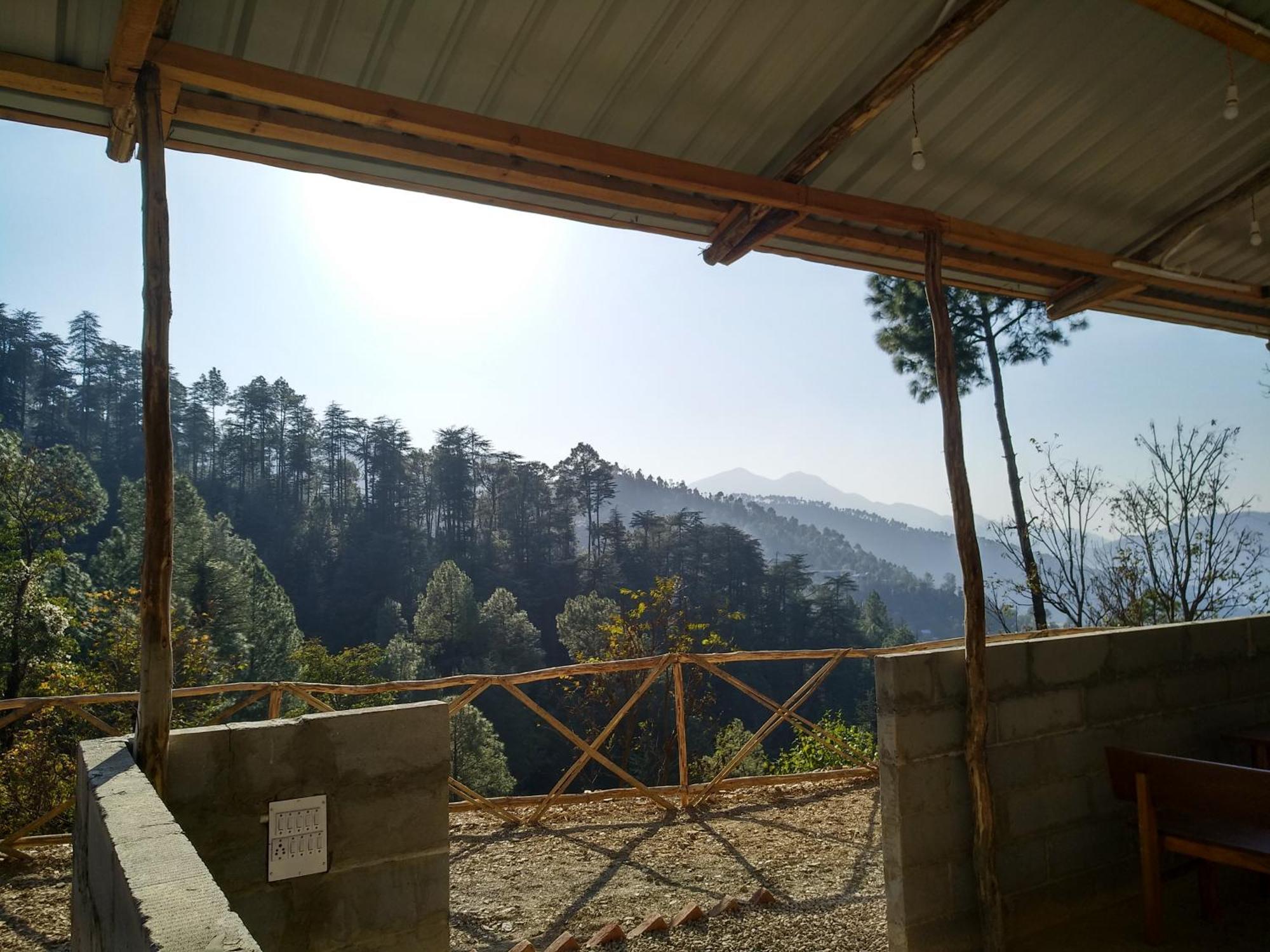 Jungle Stays Chail Ngoại thất bức ảnh