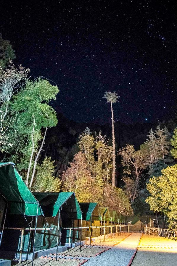 Jungle Stays Chail Ngoại thất bức ảnh